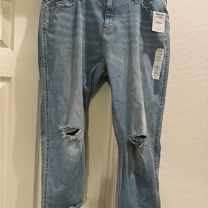 NWT LEVI STRAUSS PLUS SIZE BOYFRIEND JEANS SIZE 20/W35